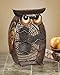 DecoBREEZE Decorative Table Fan, Desk Fan, Two Speed Electric Tabletop Fan, Figurine Fan, 7 inch, Owl