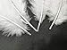 100pcs White Feathers Fluffy Turkey Marabou Feathers 4-6 Inches for Crafts Dream Catcher Fringe Trim Colored Feathers Fly Tying Material