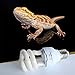 CONOMOYPET UVB Reptile Light Bulb, Compact Fluorescent Desert Terrarium Lamp for Reptile Amphibian Calcium Supplement 13 Watts (10.0 for Desert)