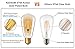 Dimmable Vintage Edison LED Light Bulb, KEDSUM 6W ST64 Edison Bulbs, 2200K Warm White, 350LM, 8 LED Filament Save Energy, Gold Plated Glass and E26 Nickel Plated Shell Base, 60W Equivalent