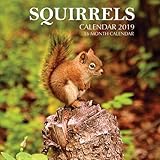 Squirrels Calendar 2019: 16 Month Calendar by Mason Landon