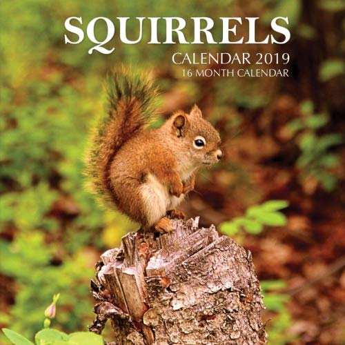 Squirrels Calendar 2019: 16 Month Calendar by Mason Landon