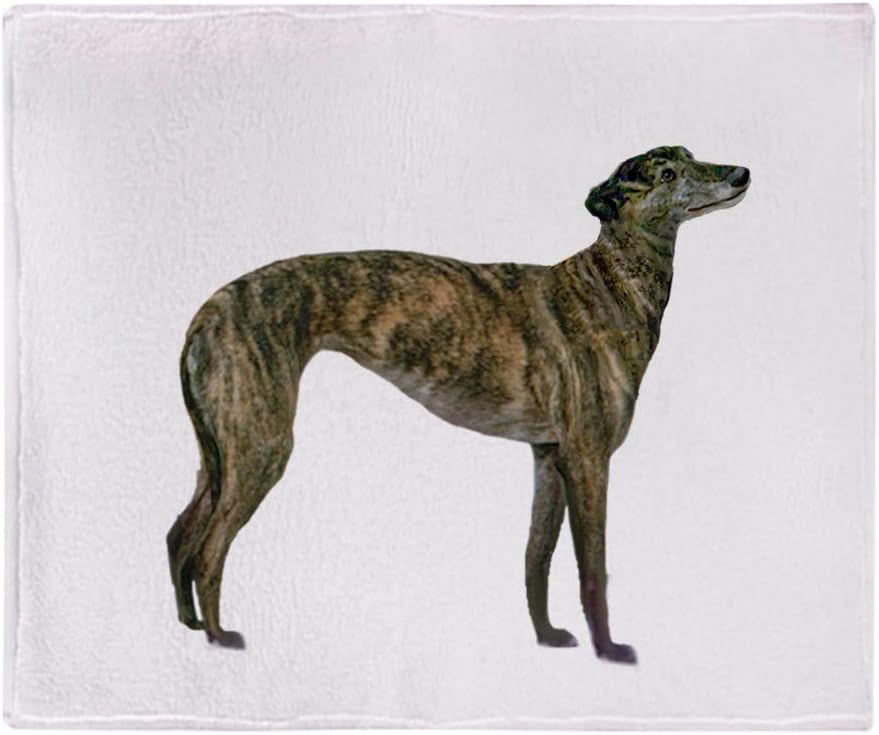 greyhound brindle