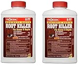 Roebic Laboratories K-77 Root Killer, 32OZ, (2)