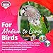 Super Bird Creations SB634 Foraging 4 Way Forager Bird Toy With Clear Acrylic Cups, Medium to Large Size, 12″ x 7″ x 7″thumb 1