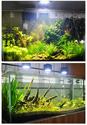 Aquarium Full Spectrum Lighting LED Adjustable Color Temperature Dimmable 70W Fan Cooling for Grass Algea Multichip (70W)
