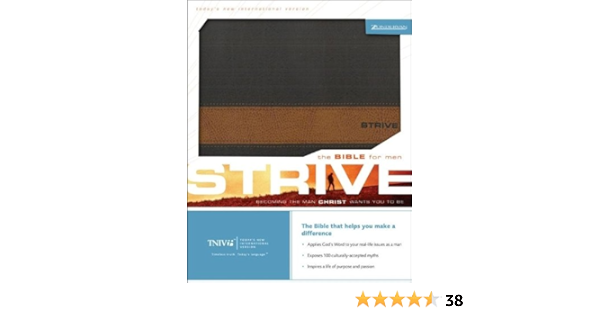Strive: The Bible For Men (Tniv): Zondervan: 9780310921035: Amazon.com:  Books