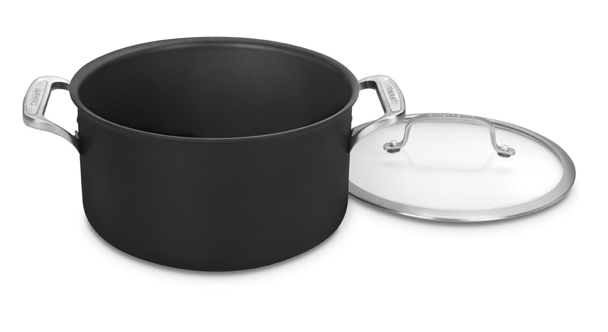 Cuisinart DSI6624 6 Qt Stockpot w/cover DS Induction Dishwasher Safe