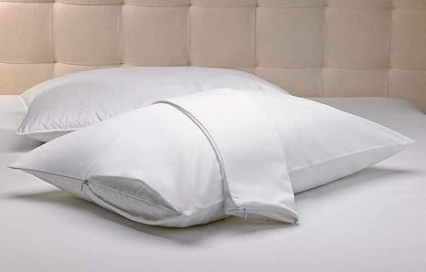 Buy Ez Dreams Queen Size Velvet Touch Gusseted Pillow Protector
