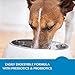 Wellness Simple Natural Wet Canned Limited Ingredient Dog Food, Duck & Oatmeal, 12.5-Ounce Can (Pack of 12)