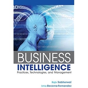 Business Intelligence: Practices, Technologies, and Management