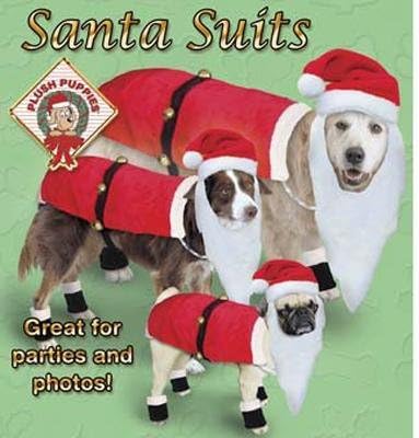 dog in santa suit