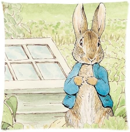 Peter Rabbit Pillowcases Custom Pillow Case Cushion Cover 16 x 16 Inches