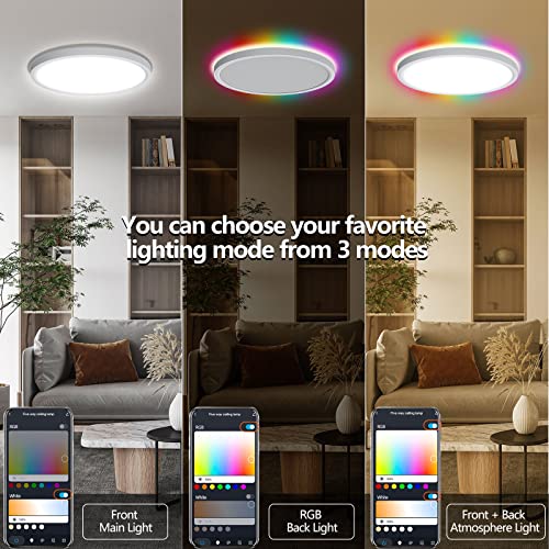Aphyni AIJIA RGB Smart Ceiling Light 24W 12Inch Ultra Thin Flush