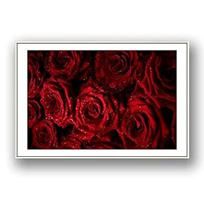 Framed Canvas Wall Art for Living Room, Bedroom Rose Flowers Canvas Prints for Modern Home Decoration Ready to Hang - 16"x24" inches