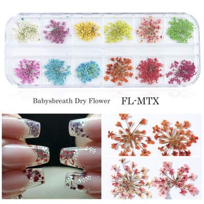2Box 3D Nail Art Dried Flower Mixed Preserved Daisy Babysbreath Natural Sticker DIY Manicure Nail Art Decorations - Thumbnail 2