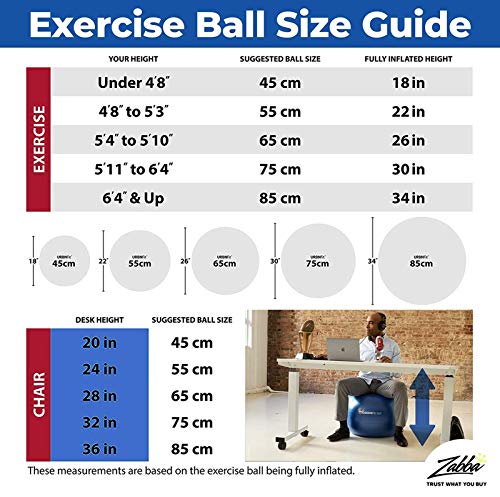 URBNFit-Exercise-Ball-Multiple-Sizes-for-Fitness-Stability-Balance-Yoga-Ball-Workout-Guide-Quick-Pump-Included-Anti-Burst-Professional-Quality-Design