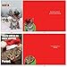 NobleWorks Variety Pack of 10 Funny Cats Christmas Greeting Cards with Envelopes, Kittens Humor Holiday Assortment for Men and Women - Petigreet Cat-Mass A1254