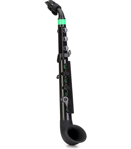 Amazon.com: Roland Aerophone Digital Wind Instrument