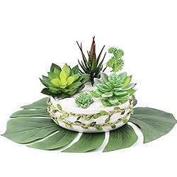 Supla 5 Pcs Assorted Artificial Succulents Plants