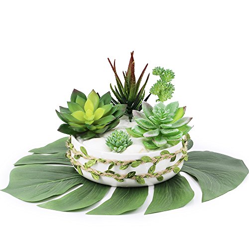 Supla 5 Pcs Assorted Artificial Succulents Plants Unpotted Small Green Cactus Echeveria Picks Fake Succulents Bulk for Succulent Garden Centerpiece Wreath Floral Arrangement Indoor Outdoor Home Décor