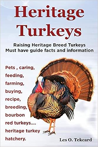 Heritage Turkeys Raising Heritage Breed Turkeys Must Have Guide