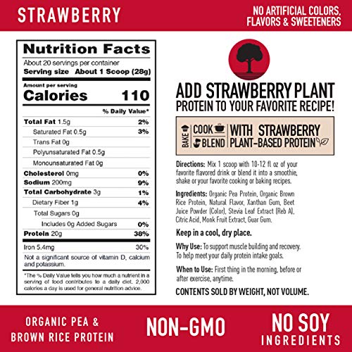 Vegan Protein Powder from Isopure, Monk Fruit Sweetener, Workout, Keto