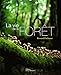 La vie de la forêt by 
