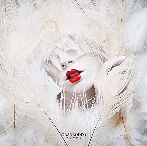 Amazon Tvアニメ 機動戦士ガンダム 鉄血のオルフェンズ 第2期エンディング主題歌 少年の果て 初回限定盤 Dvd付 Granrodeo 谷山紀章 飯塚昌明 Granrodeo アニメ 音楽