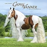 Gypsy Vanner Horse 2018 Calendar Mark J Barrett