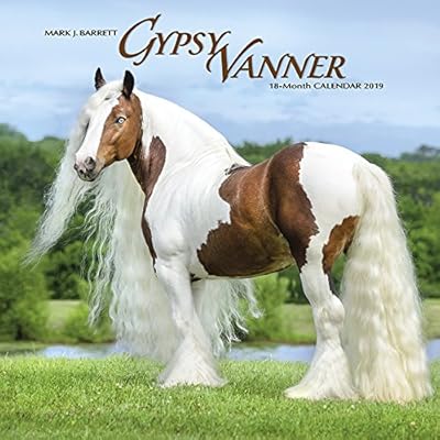 Gypsy Vanner Horse 2019 Wall Calendar
