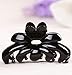 Prettyou 2.7 Inches Middle Size Plastic Resin Hair Claw Clip for Women, 4 Count
