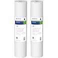 Pentair Pentek DGD-7525-20 Big Blue Water Filter, 20-Inch Whole House Sediment Filter Cartridge Replacement, Dual-Gradient Density Spun Polypropylene, 20" x 4.5", 25 Micron, Pack of 2, White