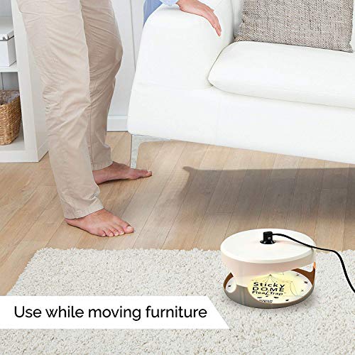 GardenHOME HR231 ASPECTEK Favored-Trapest Sticky Dome Bed Bug 2 Glue Discs.Odorless Non, White