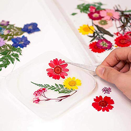 Yakuin 53 PCS Real Dried Pressed Flowers Leaves Petals Colorful Daisies for DIY Candle Resin Jewelry Nail Pendant Crafts Making Art Floral Decors