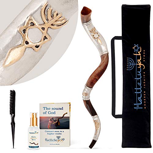 HalleluYAH Shofar from Israel Silver Plated Grafted in Messianic