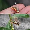 XUNMA-Fly-Fishing-Flies-40-Gold-headed-NYMPHS-with-Box-Especially-for-Trout