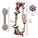 Puppy Chew Teething Rope Toys Set, Mini Dental Pack For Small To Medium Dogs