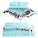 Vander 32pcs Makeup Brushes Set Make-up brush Professional Cosmetics Brushes Set Kit + Pouch Bag Case (Blue) …