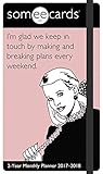Someecards Pocket Planner 2 Year (2017)
