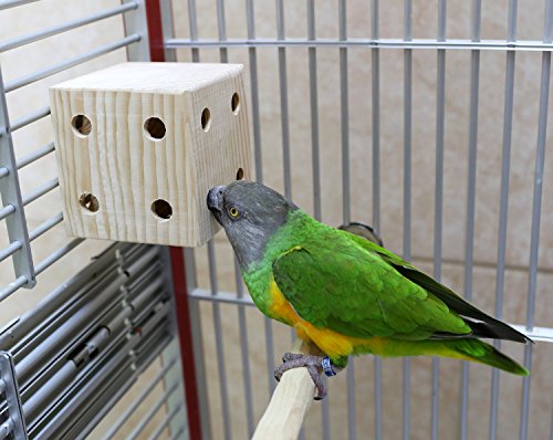 Natural Foraging Box Toy for Parrots