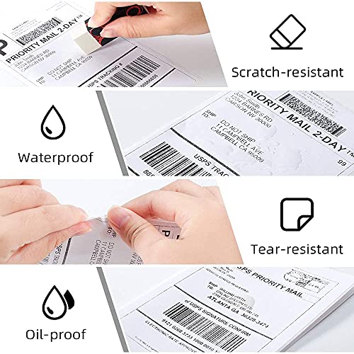 Phomemo 1000 Labels 4x6 Compatible with MUNBYN, Phomemo, Polono, BPA Free Thermal Labels for DHL, UPS, DPD-100x150mm