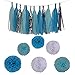 Baby Blue White Lake Blue Tissue Paper Pom Poms Flower Tissue Tassel Garland Circle Tissue Paper Garland Kit-20Pcs (Great for Boy First Birthday Party Wedding Nursery Decorations)
