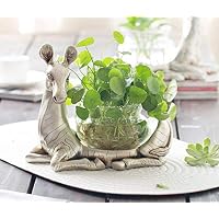DNSJB Animal Vase Porch Living Room Desk Ornament Green Water Hydroponic Container
