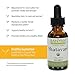 Banyan Botanicals Shatavari Liquid Extract – Organic Shatavari Root Extract – Calming, Cooling, Supports Rejuvenation, Promotes Energy & Vitality* – 1 fl oz – Non GMO Sustainably Sourced Vegan