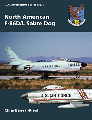 book Terrorism in cyberspace : the