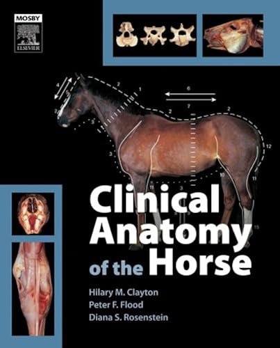 Download Clinical Anatomy of the Horse PDF