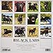 Just Black Labs 2019 Wall Calendar (Dog Breed Calendar)