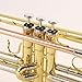 Legacy TR750 Intermediate Trumpet w/ Deluxe Convertible Case
