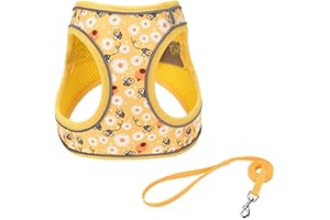 FLYMIND Step in Dog Harness and Leash Set, Flower Adjustable Easy Walk Puppy Harnesses, Soft Mesh Pet Vest Harness Small Size Adjustable No Pull Dog Harness for Small Dogs and Cats(Bee, XS)